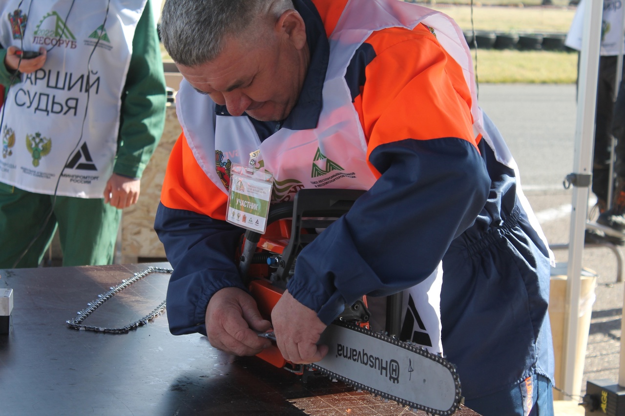 лесоруб красноярск2022