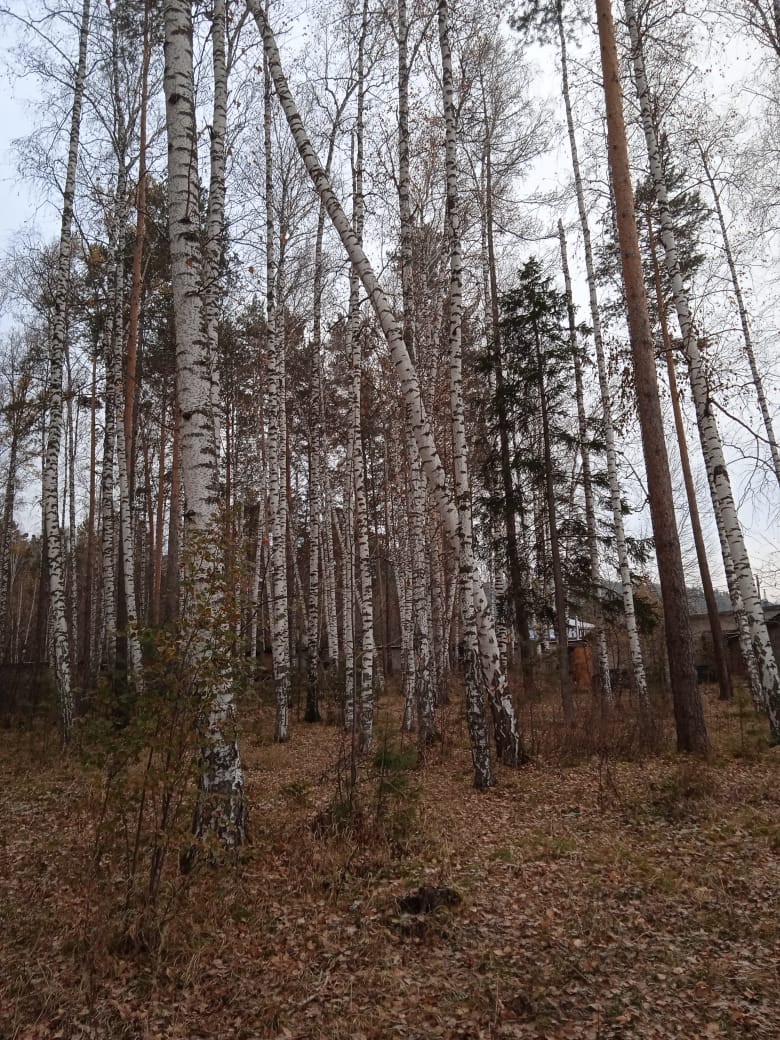 PHOTO 2025 10 14 08 36 34