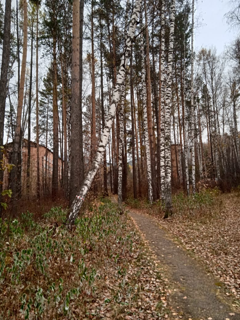 PHOTO 2025 10 14 08 36 35