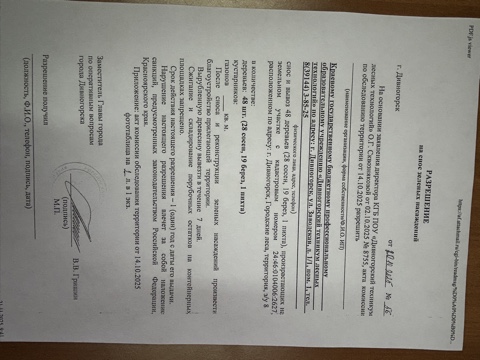 image 21 11 25 09 47