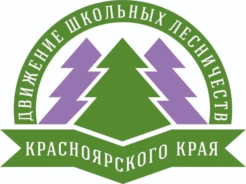 Дивногорский техникум лесных технологий обучает операторов БПЛА 