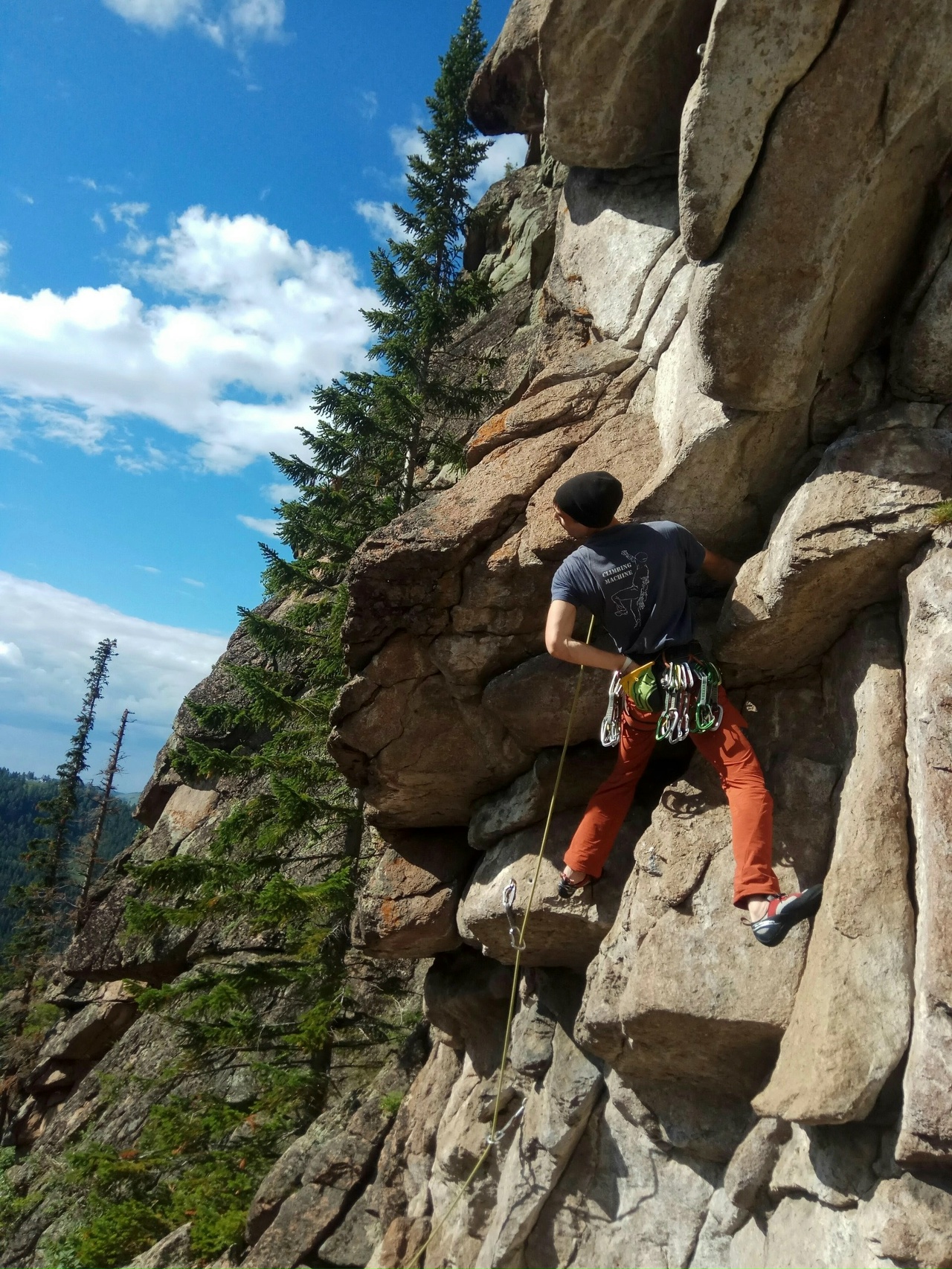 кардапольцев1