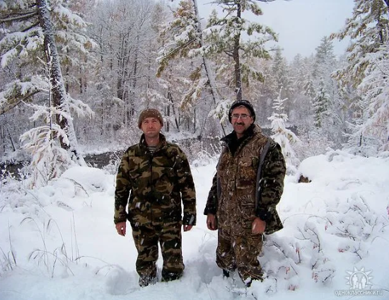 сотников в тайге